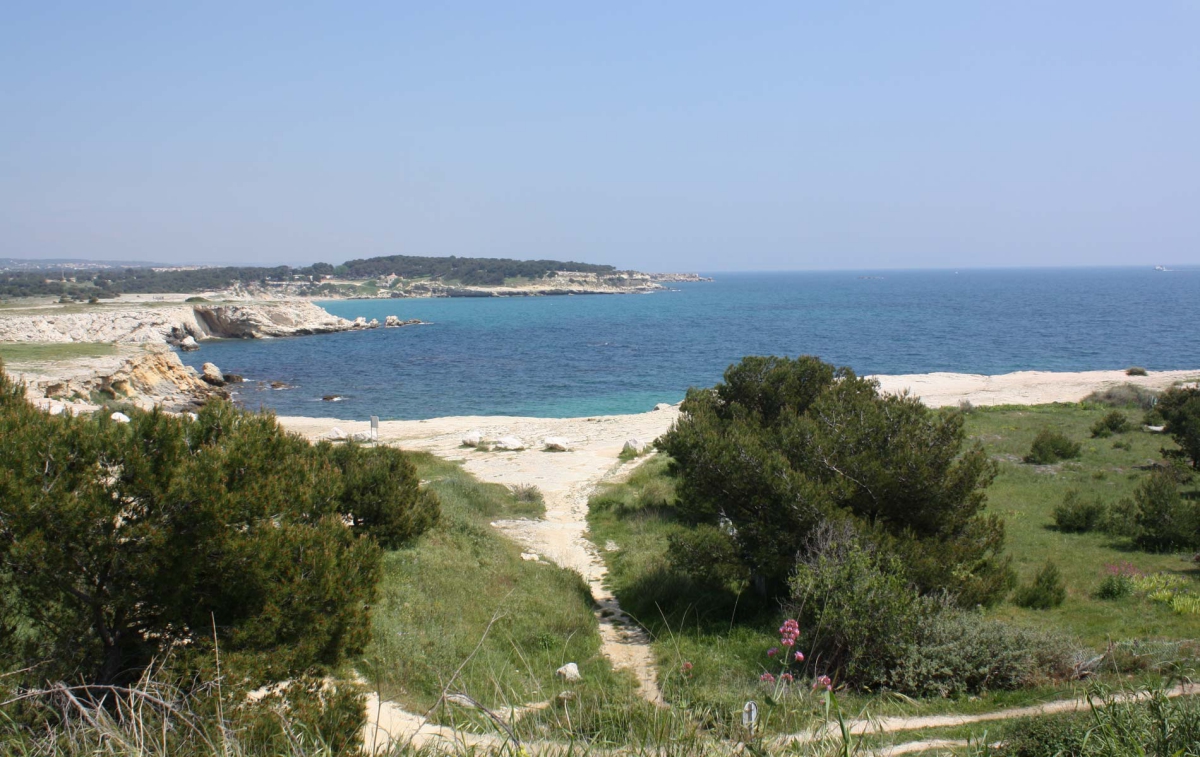 L'Arquet Côte Bleue - Provenza-Alpi-Costa Azzurra - Martigues visuel 8/8 L'Arquet Côte Bleue - Provenza-Alpi-Costa Azzurra - Martigues visuel 8/8