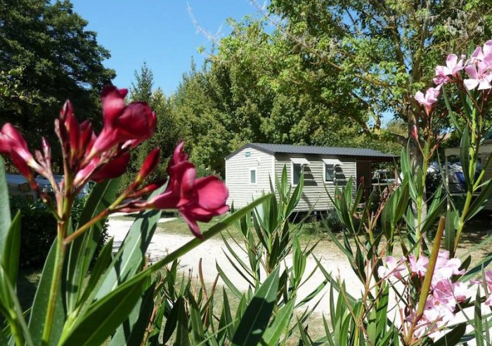 La Coutelière Provenza-Alpi-Costa Azzurra - Lagnes visuel 3/8 La Coutelière Provenza-Alpi-Costa Azzurra - Lagnes visuel 3/8