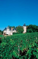 La Croix d'Arles Champagne-Ardenne - Bourg visuel 10/10