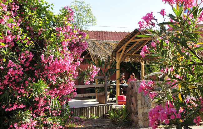 La Croix du Sud Provenza-Alpi-Costa Azzurra - Ramatuelle visuel 6/10 La Croix du Sud Provenza-Alpi-Costa Azzurra - Ramatuelle visuel 6/10