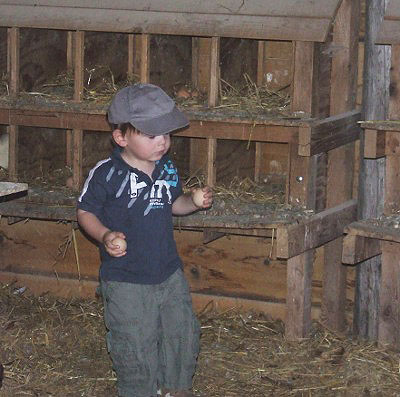 La Ferme de la Marlière Bourgogne - Saint-Vincent-en-Bresse visuel 2/2