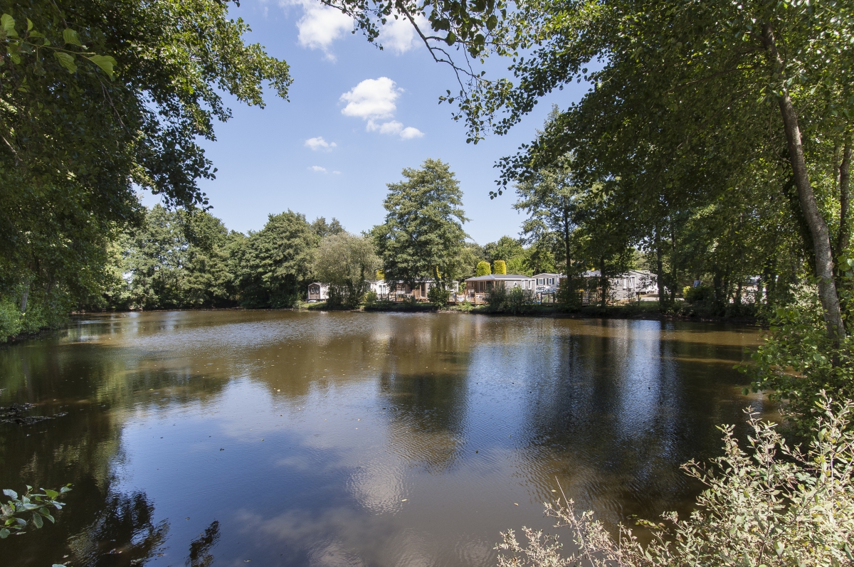 La Ferme du Latois Paesi della Loira - Coëx visuel 3/10 La Ferme du Latois Paesi della Loira - Coëx visuel 3/10