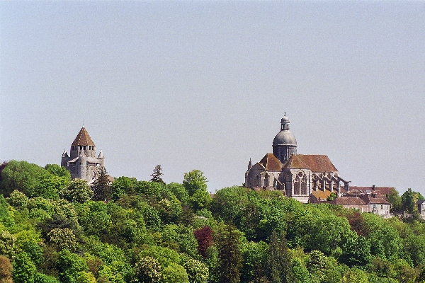 La Ferté Gaucher Île-de-France - La Ferté-Gaucher visuel 7/10