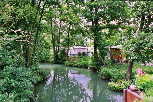 La Ferté Gaucher Île-de-France - La Ferté-Gaucher visuel 8/10