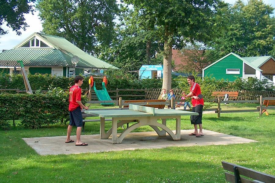 La Forêt Alta Normandia - Jumièges visuel 6/10 La Forêt Alta Normandia - Jumièges visuel 6/10