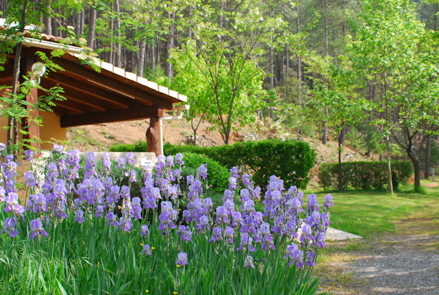 La Forêt Linguadoca-Rossiglione - Saint-Jean-du-Gard visuel 2/6