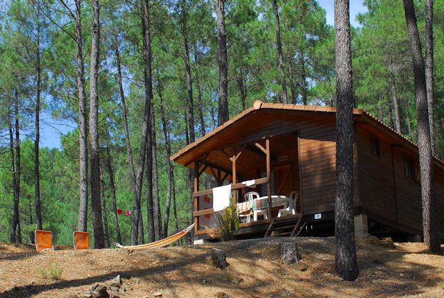 La Forêt Linguadoca-Rossiglione - Saint-Jean-du-Gard visuel 5/6