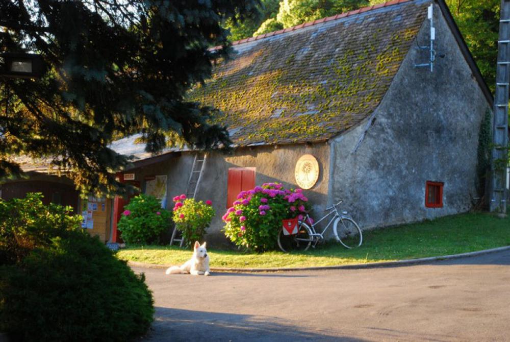 La Forêt Midi-Pirenei - Lourdes visuel 7/15 La Forêt Midi-Pirenei - Lourdes visuel 7/15