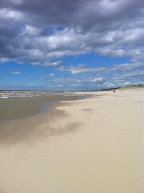 La Forêt Nord-Passo di Calais - Cucq visuel 3/3