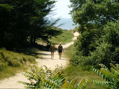 La Forêt Paesi della Loira - Saint-Jean-de-Monts visuel 5/11