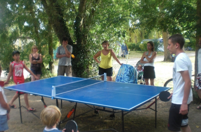 La Fraignaye Paesi della Loira - Saint-Denis-du-Payré visuel 6/10