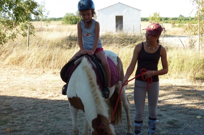 La Fraignaye Paesi della Loira - Saint-Denis-du-Payré visuel 7/10