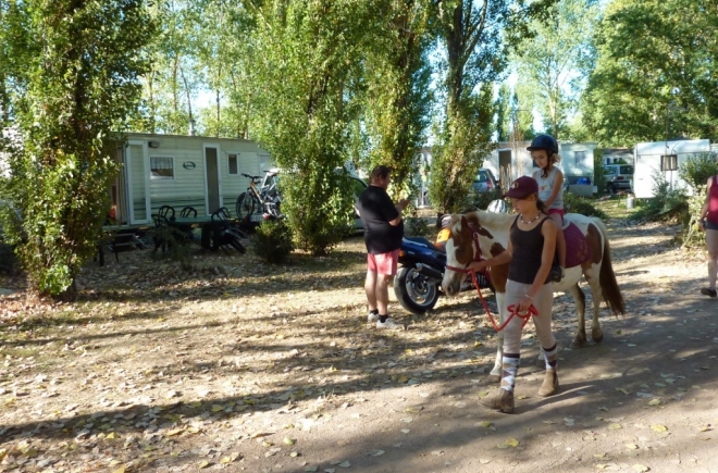 La Fraignaye Paesi della Loira - Saint-Denis-du-Payré visuel 9/10