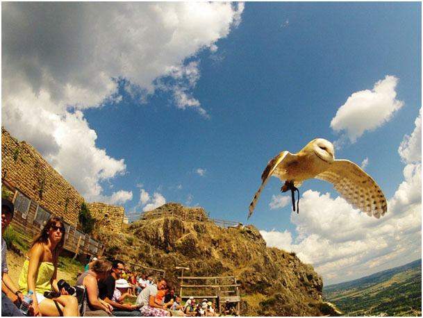 La Fressange Alvernia - Saint-Didier-en-Velay visuel 10/12 La Fressange Alvernia - Saint-Didier-en-Velay visuel 10/12