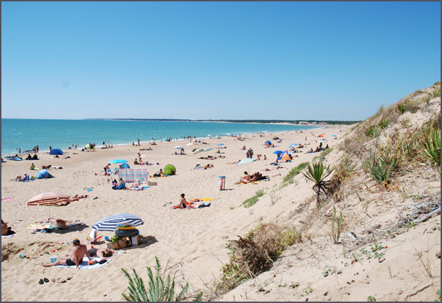 la Frétille Paesi della Loira - Longeville sur Mer visuel 6/11 la Frétille Paesi della Loira - Longeville sur Mer visuel 6/11