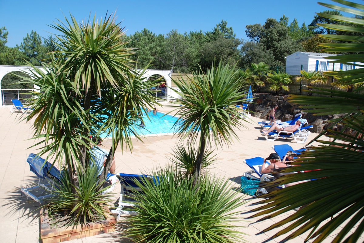 la Frétille Paesi della Loira - Longeville sur Mer visuel 11/11 la Frétille Paesi della Loira - Longeville sur Mer visuel 11/11