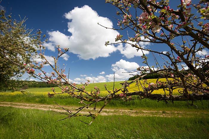 La Fromentelle Champagne-Ardenne - Dosches visuel 1/1 La Fromentelle Champagne-Ardenne - Dosches visuel 1/1