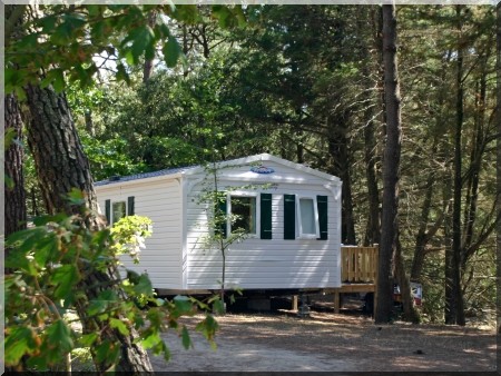 La Gachère Paesi della Loira - Olonne-sur-Mer visuel 5/10
