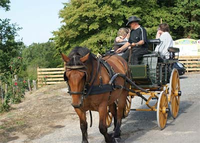 La Garenne Aquitania - Peyrignac visuel 6/8 La Garenne Aquitania - Peyrignac visuel 6/8