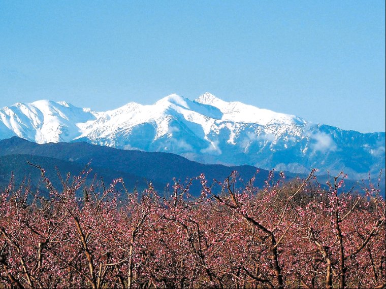 La Garenne Linguadoca-Rossiglione - Néfiach visuel 7/8
