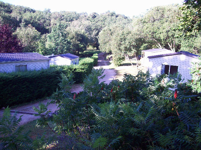 La Garrigue Midi-Pirenei - Loubressac visuel 2/10 La Garrigue Midi-Pirenei - Loubressac visuel 2/10