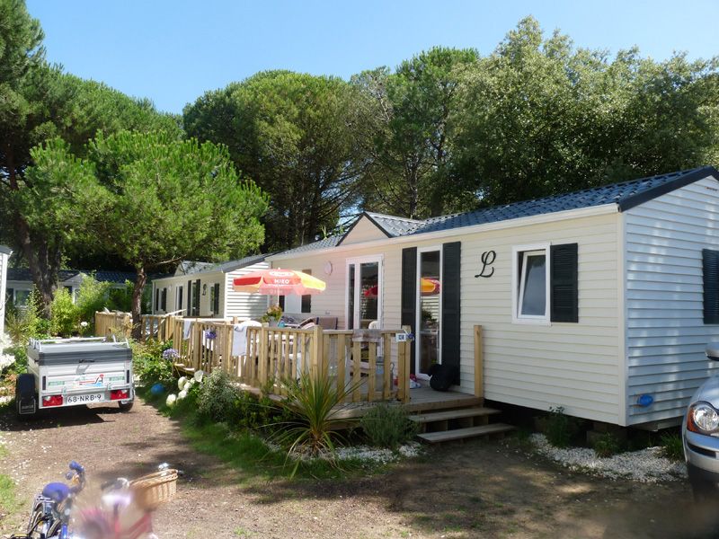 La Grainetière Poitou-Charentes - La Flotte visuel 9/9