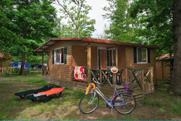 La Grande Tortue Centro-Valle della Loira - Candé-sur-Beuvron visuel 6/9 La Grande Tortue Centro-Valle della Loira - Candé-sur-Beuvron visuel 6/9