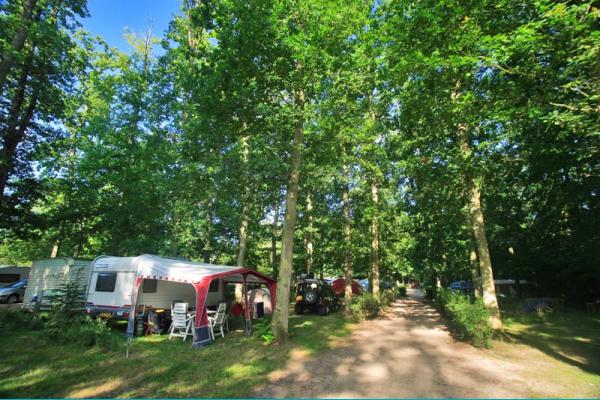 La Grande Tortue Centro-Valle della Loira - Candé-sur-Beuvron visuel 7/9 La Grande Tortue Centro-Valle della Loira - Candé-sur-Beuvron visuel 7/9
