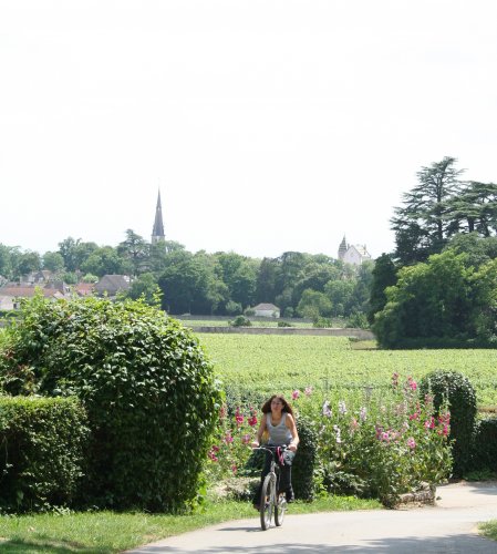 Meursault Bourgogne - Meursault visuel 4/10