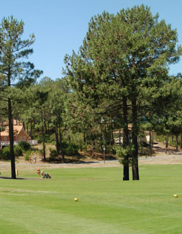 La Jenny Domaine Naturiste - Aquitania - Le Porge visuel 4/7 La Jenny Domaine Naturiste - Aquitania - Le Porge visuel 4/7