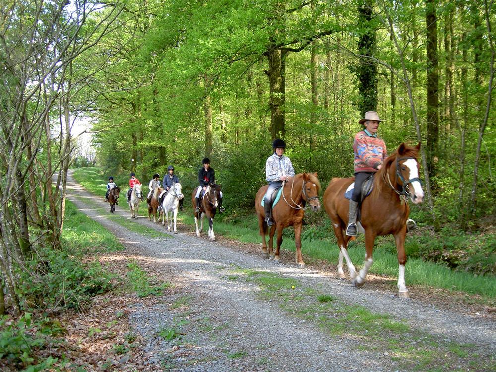 La Joletière Paesi della Loira - Mervent visuel 7/9 La Joletière Paesi della Loira - Mervent visuel 7/9