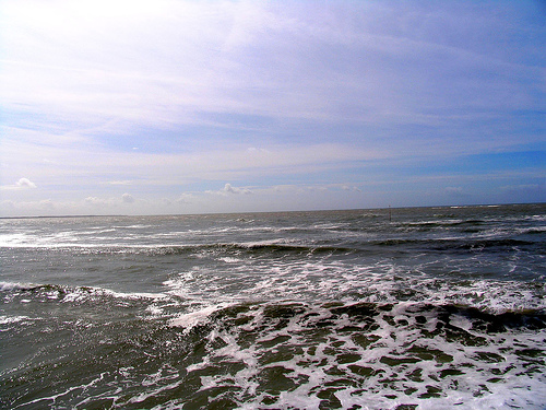 La Mouette Cendrée Paesi della Loira - Saint-Vincent-sur-Jard visuel 6/8