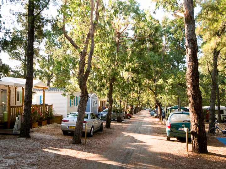 La Pascalinette Provenza-Alpi-Costa Azzurra - La Londe-les-Maures visuel 5/11