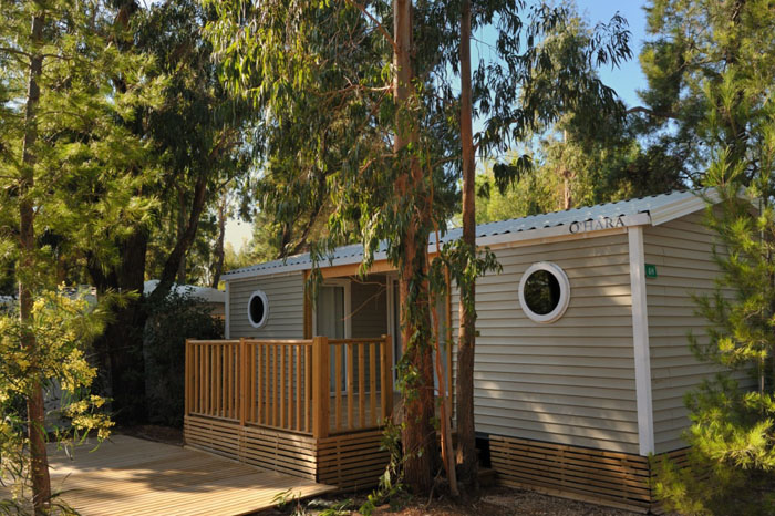 La Pascalinette Provenza-Alpi-Costa Azzurra - La Londe-les-Maures visuel 8/11