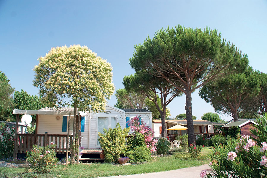 La Pinède Provenza-Alpi-Costa Azzurra - Grimaud visuel 1/1 La Pinède Provenza-Alpi-Costa Azzurra - Grimaud visuel 1/1