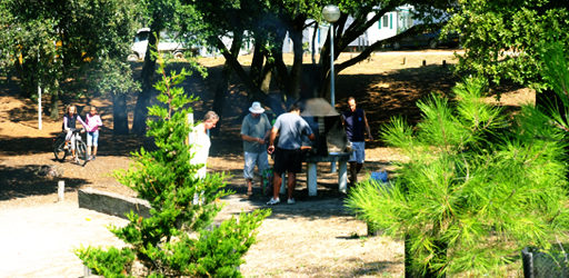 La Plage de Riez Paesi della Loira - Saint-Hilaire-de-Riez visuel 5/10