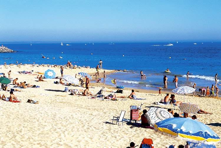 La Pomme de Pin Paesi della Loira - Jard-sur-Mer visuel 2/11 La Pomme de Pin Paesi della Loira - Jard-sur-Mer visuel 2/11