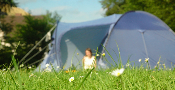 La Prairie Aquitania - Carcans visuel 2/6 La Prairie Aquitania - Carcans visuel 2/6