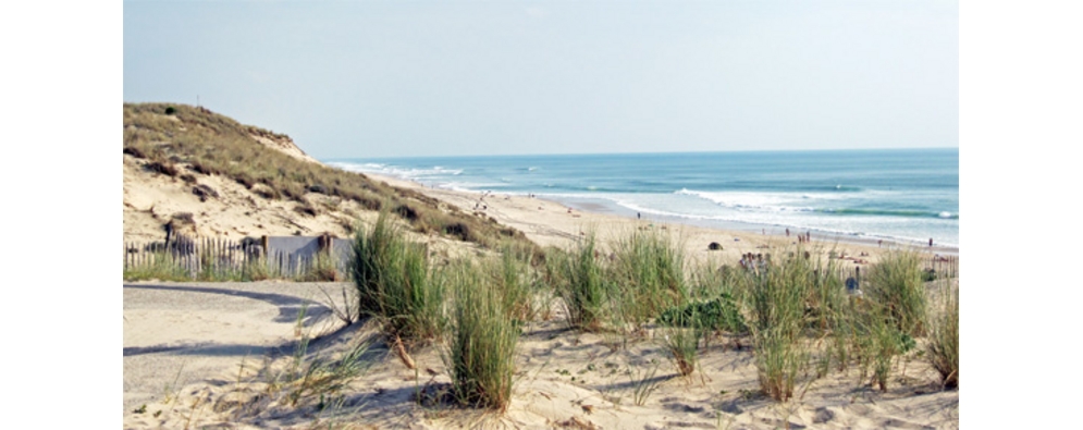 La Prairie Aquitania - Carcans visuel 5/6 La Prairie Aquitania - Carcans visuel 5/6