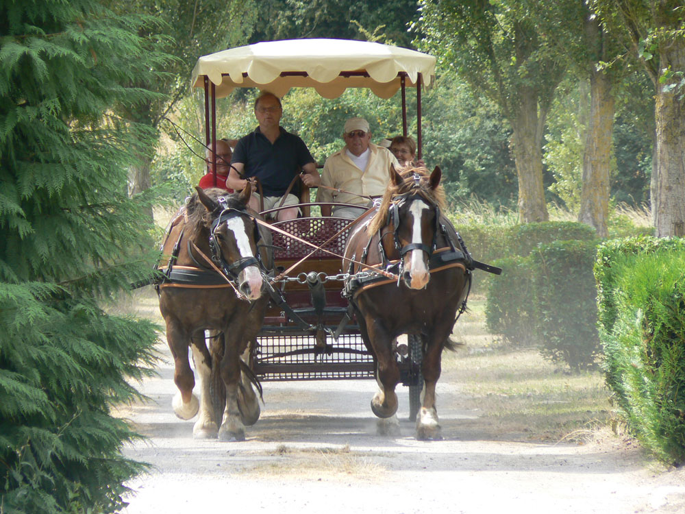 La Promenade Paesi della Loira - Montjean-sur-Loire visuel 7/8 La Promenade Paesi della Loira - Montjean-sur-Loire visuel 7/8