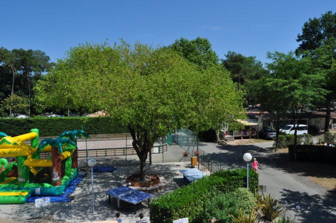 La Puerta del Sol Paesi della Loira - Saint-Hilaire-de-Riez visuel 9/10 La Puerta del Sol Paesi della Loira - Saint-Hilaire-de-Riez visuel 9/10