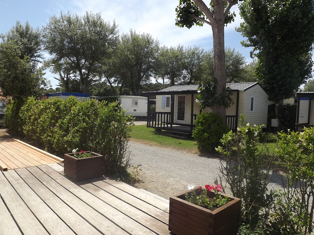 La Rive Paesi della Loira - Notre-Dame-de-Monts visuel 3/4