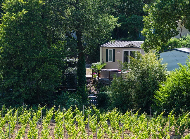 La Rouillère Provenza-Alpi-Costa Azzurra - Ramatuelle visuel 6/9 La Rouillère Provenza-Alpi-Costa Azzurra - Ramatuelle visuel 6/9