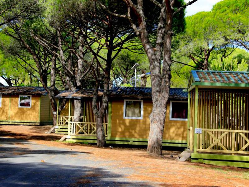 la Tama Linguadoca-Rossiglione - Agde visuel 6/7 la Tama Linguadoca-Rossiglione - Agde visuel 6/7