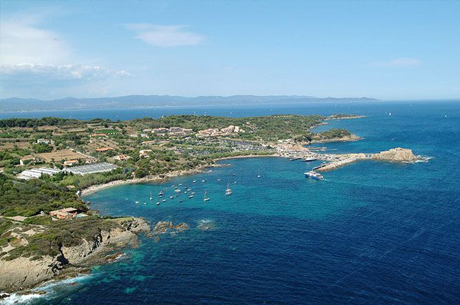 la Tour Fondue Provenza-Alpi-Costa Azzurra - Hyères visuel 2/11