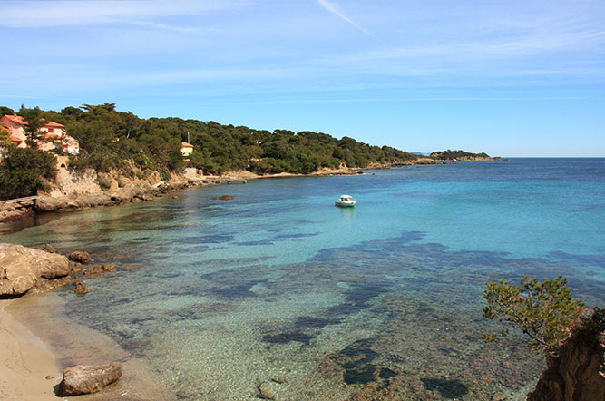 la Tour Fondue Provenza-Alpi-Costa Azzurra - Hyères visuel 3/11