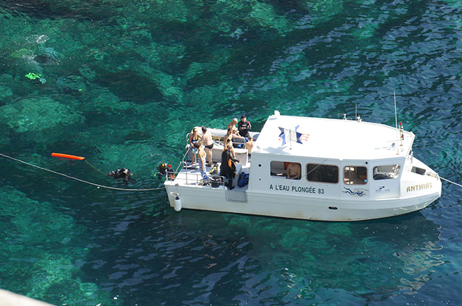 la Tour Fondue Provenza-Alpi-Costa Azzurra - Hyères visuel 5/11