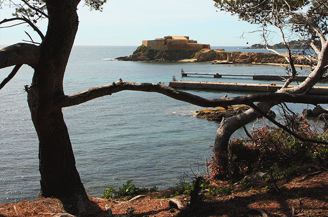 la Tour Fondue Provenza-Alpi-Costa Azzurra - Hyères visuel 6/11