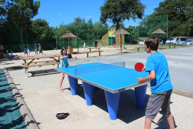La Trévillière Paesi della Loira - Brétignolles-sur-Mer visuel 6/12