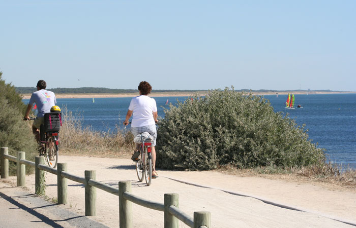 La Trévillière Paesi della Loira - Brétignolles-sur-Mer visuel 12/12